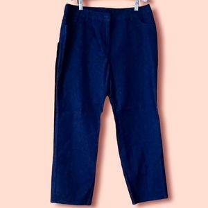 Appleseed's Dark Blue 5-Pocket Jeans Size 16P  Never Worn